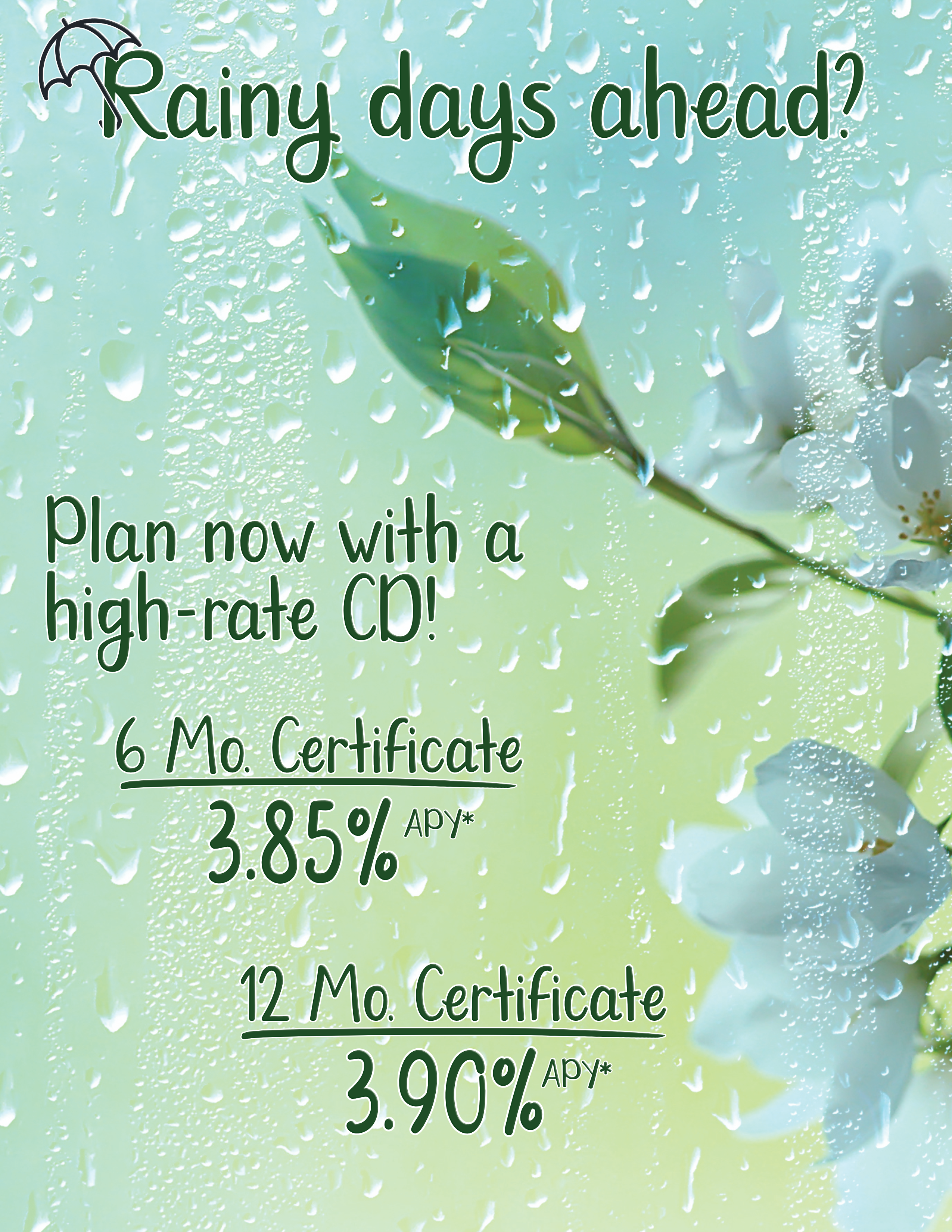 Spring CD